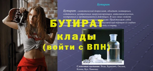 шишки Гусиноозёрск