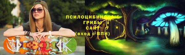 сатива Гусь-Хрустальный