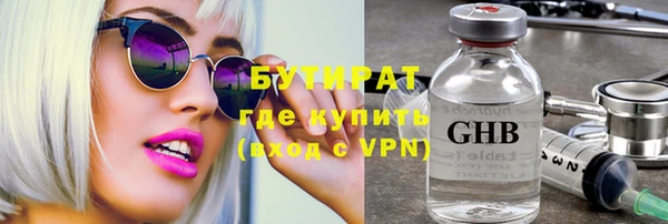 шишки Гусиноозёрск