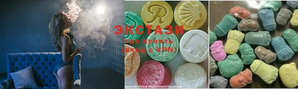 шишки Гусиноозёрск