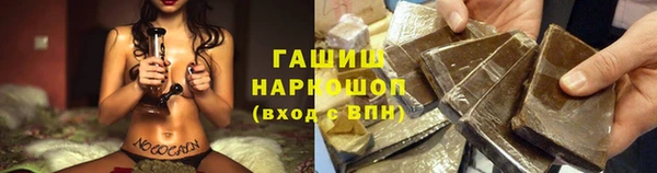 шишки Гусиноозёрск