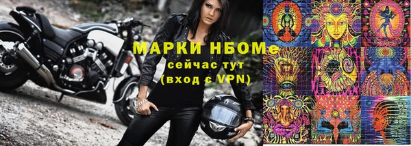 сатива Гусь-Хрустальный