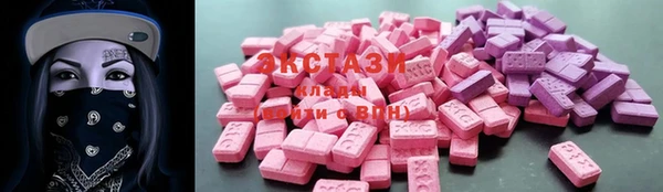 шишки Гусиноозёрск