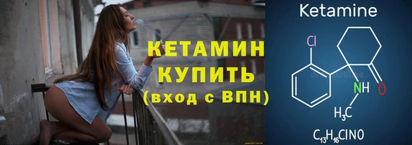 шишки Гусиноозёрск