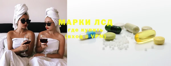 сатива Гусь-Хрустальный