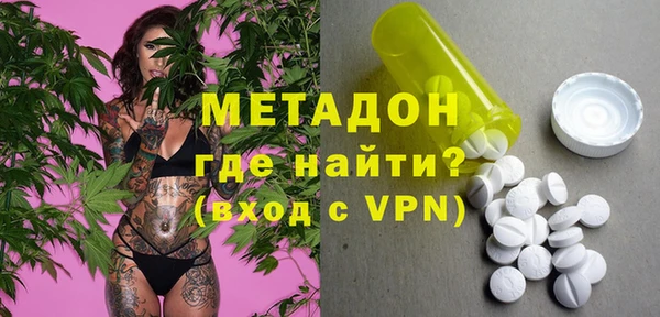 шишки Гусиноозёрск