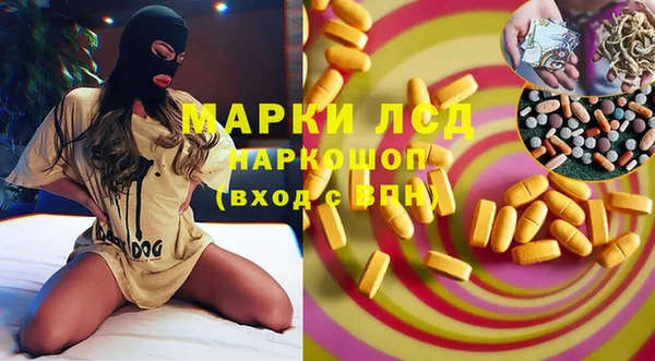 сатива Гусь-Хрустальный