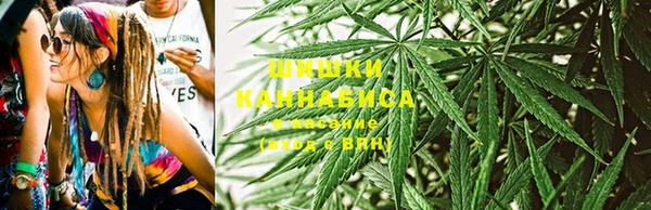 сатива Гусь-Хрустальный