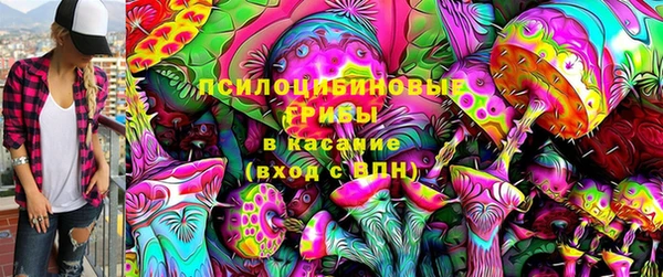 сатива Гусь-Хрустальный