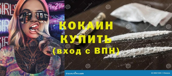 сатива Гусь-Хрустальный