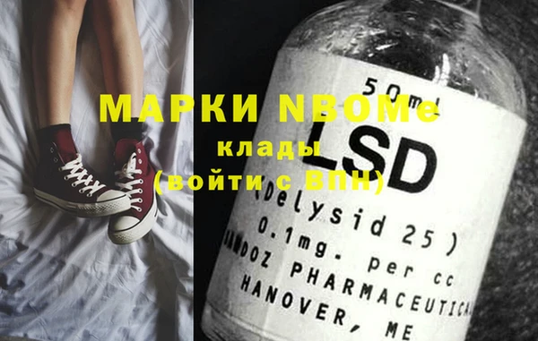 шишки Гусиноозёрск