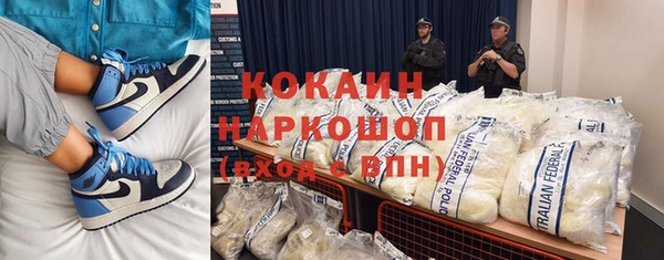 шишки Гусиноозёрск