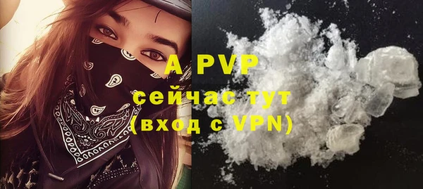 шишки Гусиноозёрск