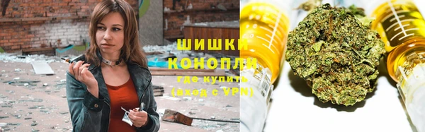 шишки Гусиноозёрск