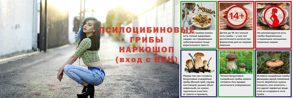 шишки Гусиноозёрск