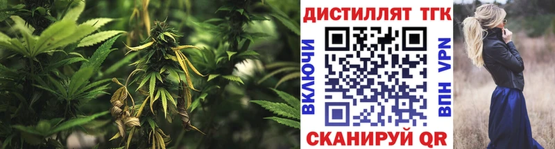 купить Дальнереченск ТГК концентрат