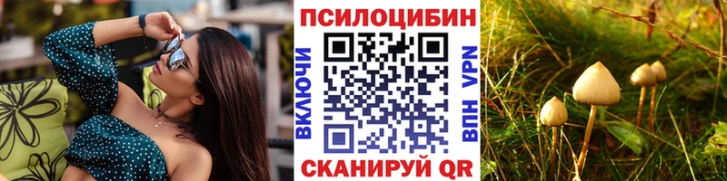 Галлюциногенные грибы мицелий  закладка  Дальнереченск 