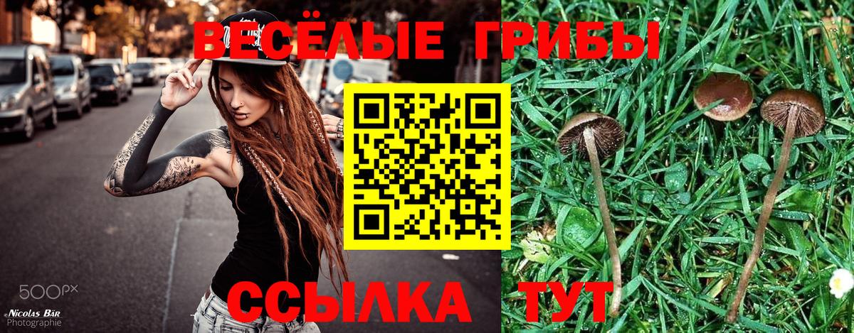 Дальнереченск  Псилоцибиновые грибы мицелий  Вход с VPN 