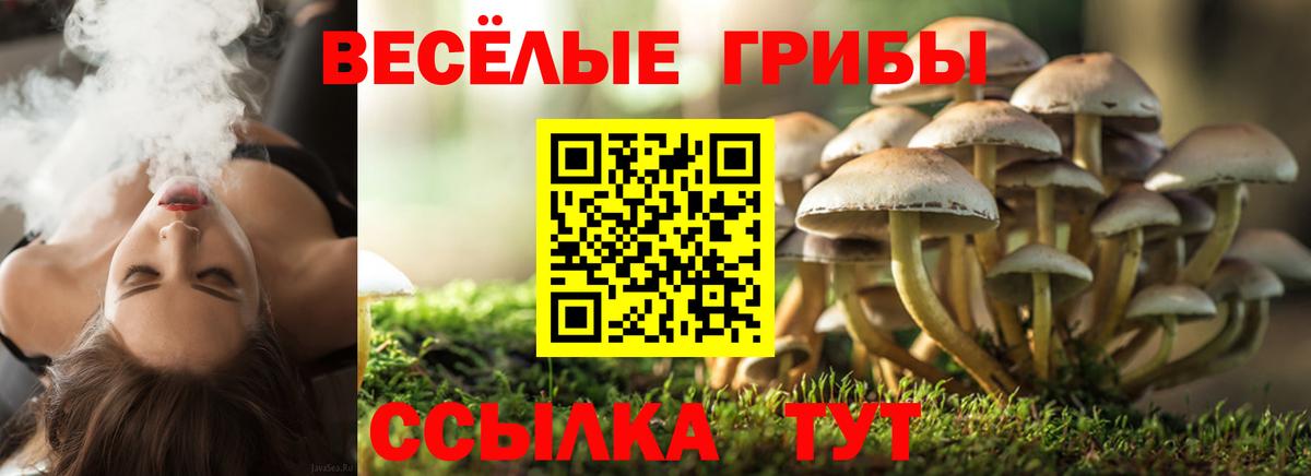 Галлюциногенные грибы прущие грибы Дальнереченск